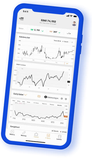 Rowan Fundix digital web application on mobile device